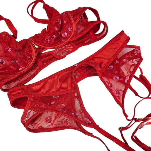 Lounge Katya Intimates Bra / Garter Set Size 34 A and M Garter Red Embroidered - Picture 9 of 13